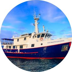 54 cachalote explorer yacht