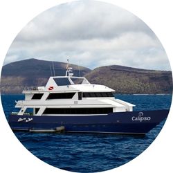 55 calipso yacht