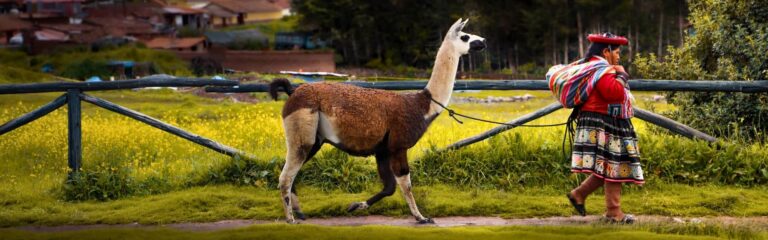 6 day cusco machu picchu 6-day cusco & machu picchu