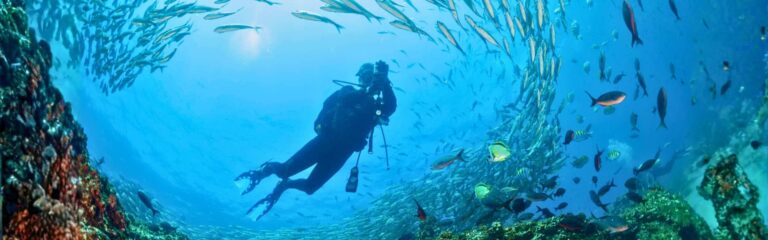 6 day galapagos padi scuba course 6-day galapagos padi scuba course
