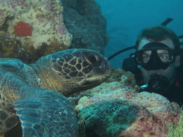 7 day galapagos diving 7-day galapagos diving - galapagos island hopping tours