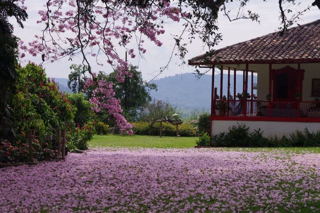 andes hotels andes hotels