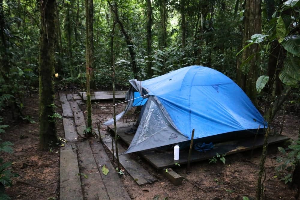 camping amazon 1 yasuni cuyabeno - camping site
