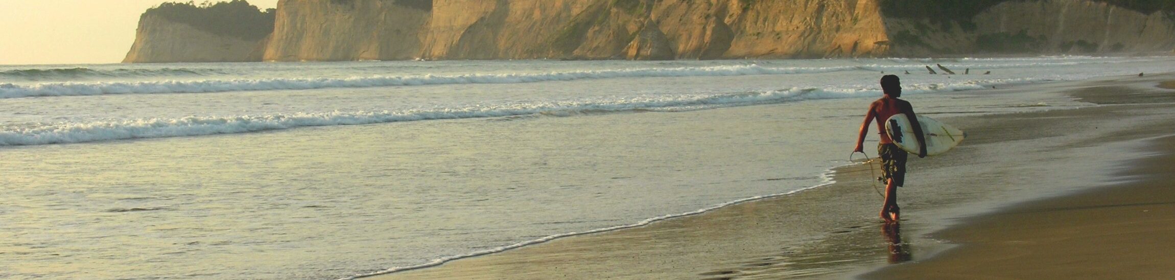 Coastal Tours