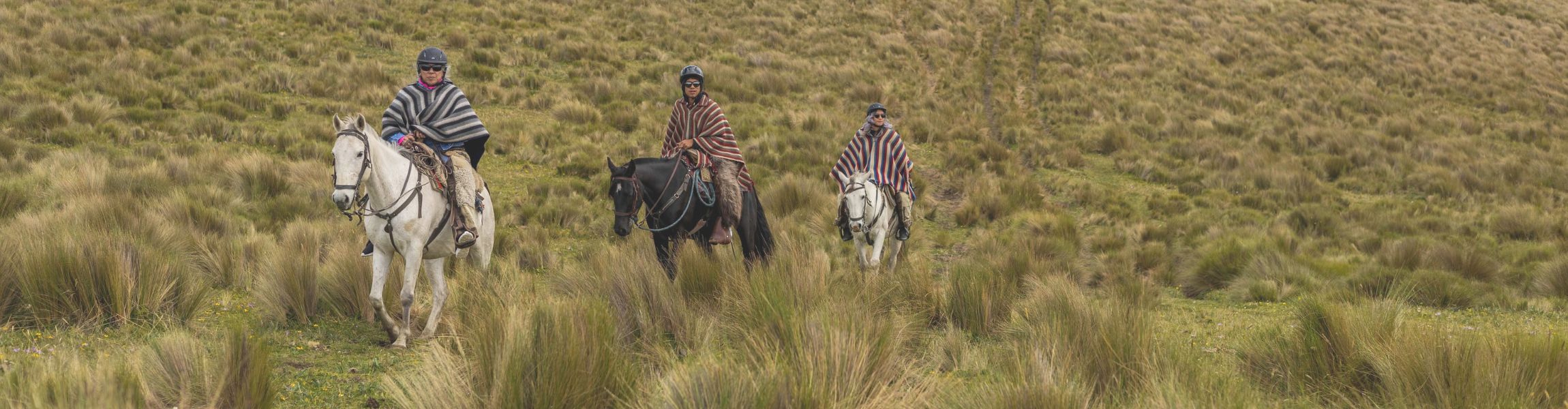 Ecuador Tours