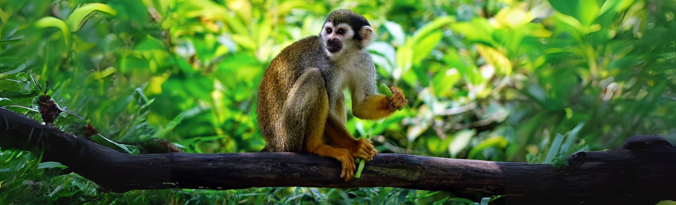 Ecuador Mainland
