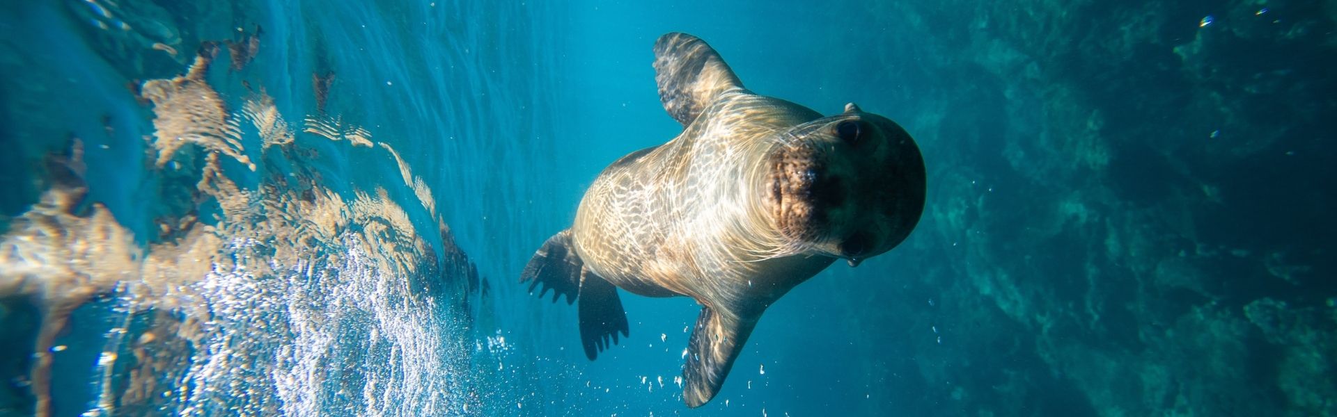 Galapagos Tours
