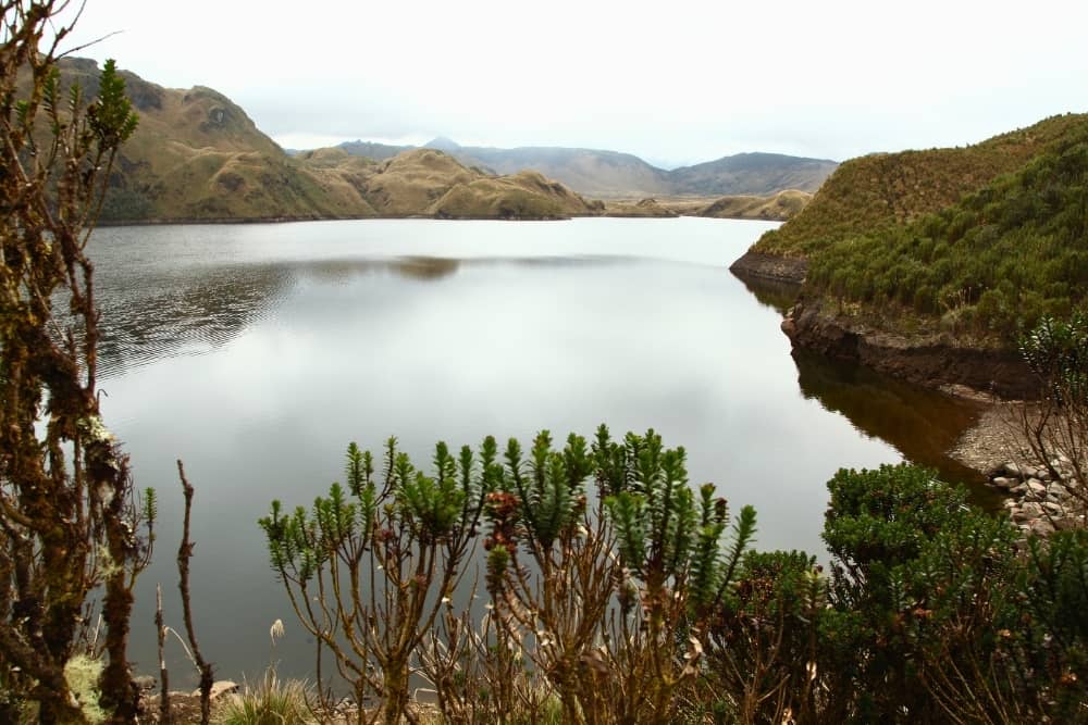 papallacta cayambe coca reserve 1 papallacta - cayambe coca reserve