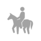 Horseback riding