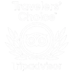 Trip Advisor
