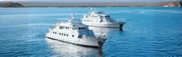coral 1 and 2 galapagos cruise coral i & ii galapagos cruise