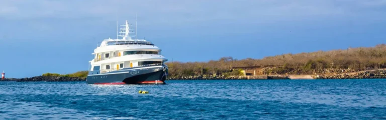galapagos horizon cruise galapagos horizon cruise