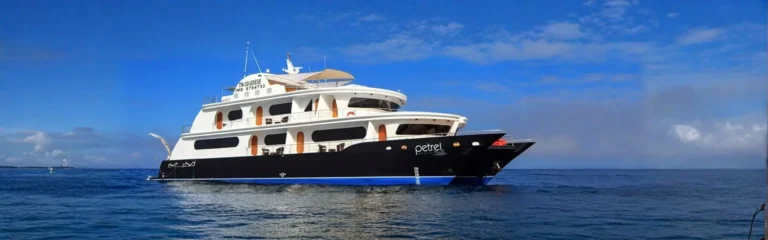 petrel galapagos cruise petrel galapagos cruise