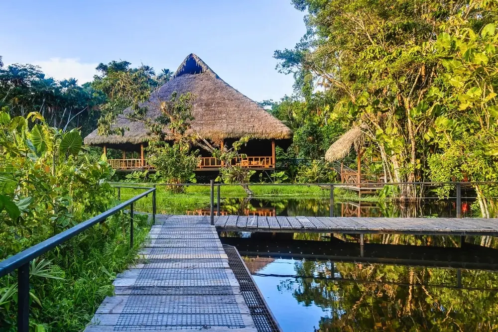 sacha lodge sacha lodge - napo